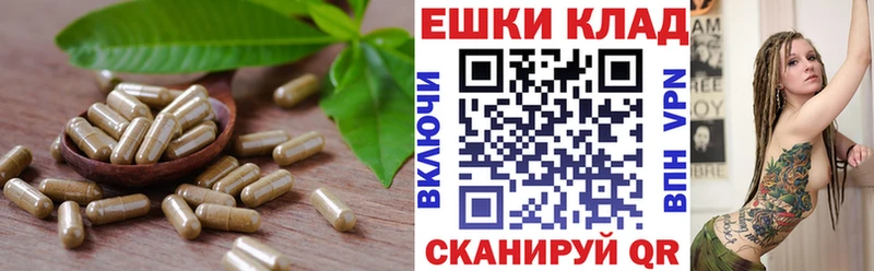 Купить закладки  Моздок  Ecstasy 280мг 