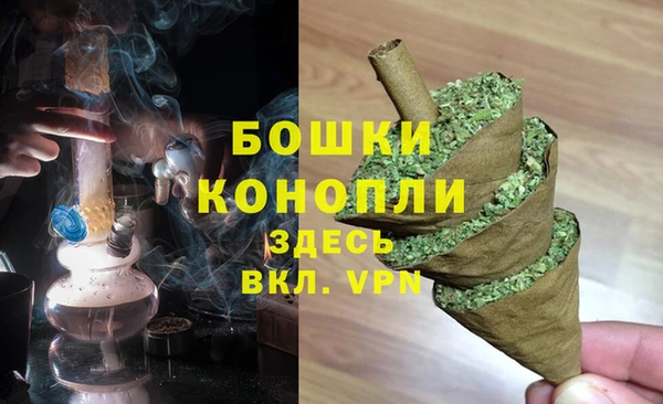СК Мегион