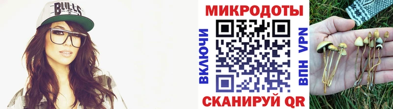 Псилоцибиновые грибы Cubensis  Купить закладки  Моздок 